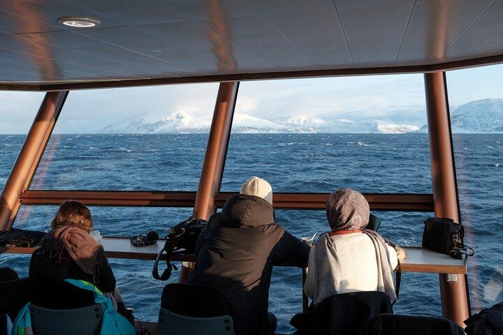 Half Day Arctic Fjord Cruise from Tromso