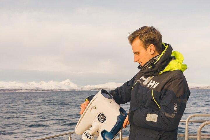 Half Day Arctic Fjord Cruise from Tromso