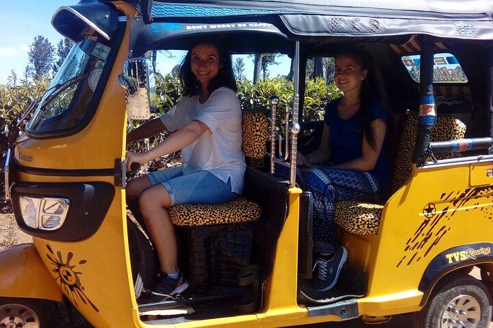 TukTuk Safari in Tea & Spice plantation,View Points,Upper Diyaluma WaterFalls,