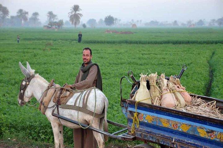 Half-Day Egypt Country Side Farm Tour with Pick Up