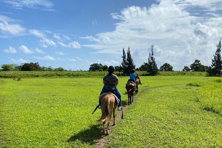 Scenic Horseback Riding Tour from San Juan