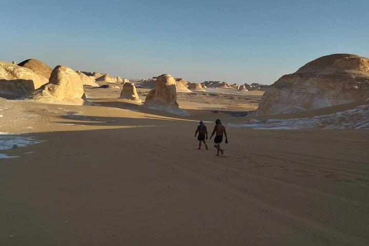 Private 2-Days White Desert and Bahariya Oasis Trip from Cairo
