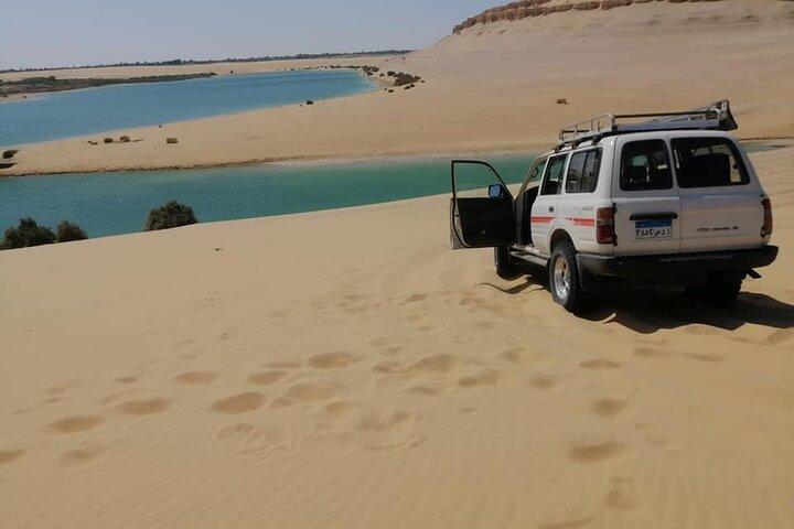 Private 2-Days White Desert and Bahariya Oasis Trip from Cairo
