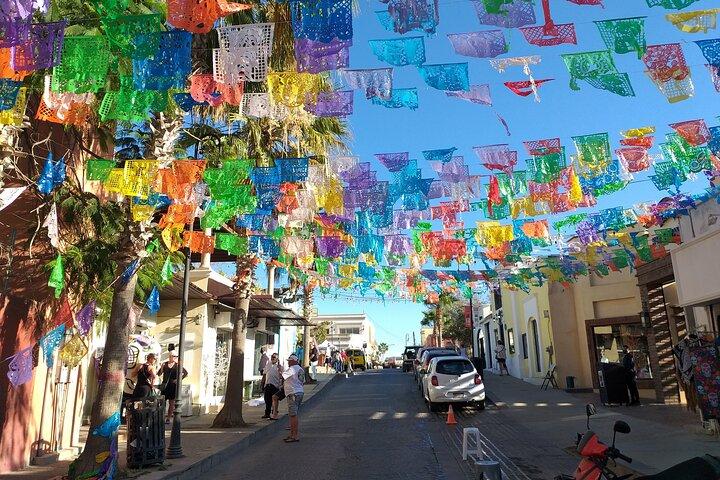 Los Cabos Half-Day City Tour with Visit to the Arch