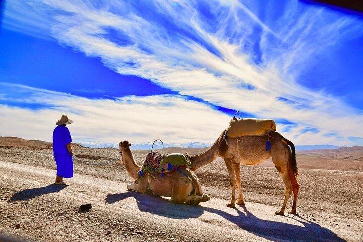 Sunset Camel Ride In Desert From Marrakech