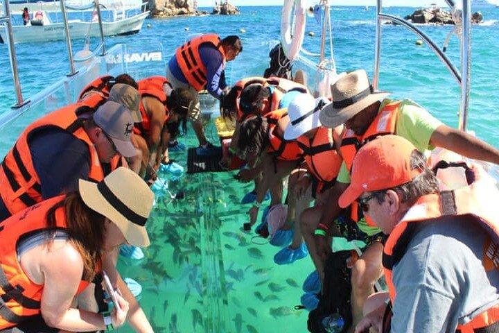 Clear Boat with City Tour