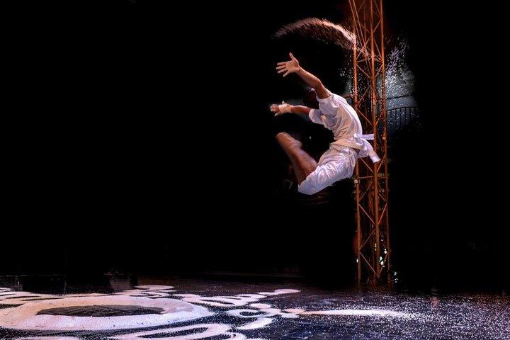 Phare: The Cambodian Circus Show in Siem Reap
