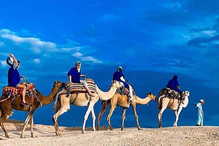 Sunset Camel Ride In Desert From Marrakech
