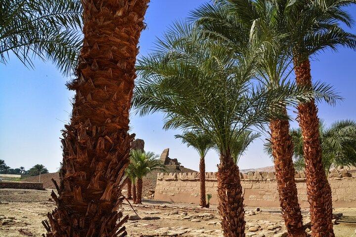 Tour to Dendera and Medinet Habu