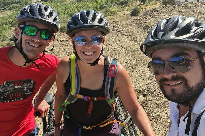 E-Bike Tour + Gourmet Lunch + Wine Tasting (Small Group)