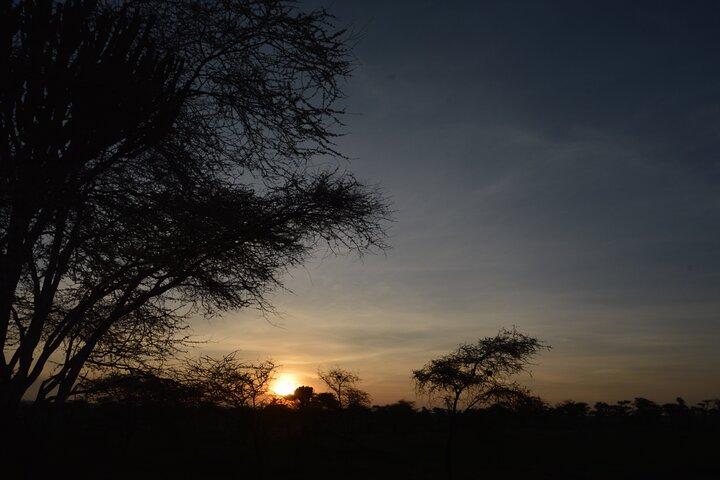 Private 7-Day Tanzania Camping Safari