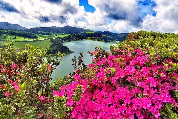 Azores: Shore Excursion Furnas - Crater volcano and hot springs