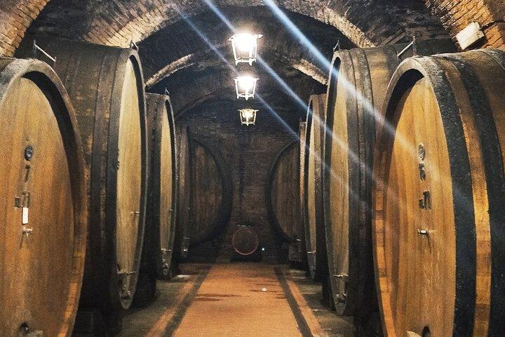 Private Art & Wine Tour in Cortona & Montepulciano, with lunch & 2 wine tastings