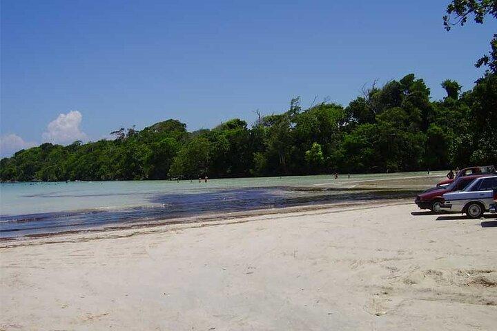 Full-Day Blue Lagoon Tour in Dominican Republic