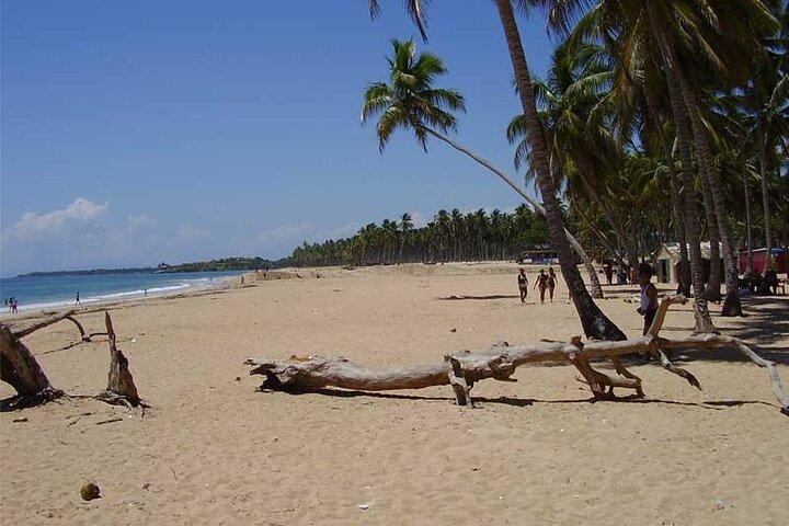 Full-Day Blue Lagoon Tour in Dominican Republic