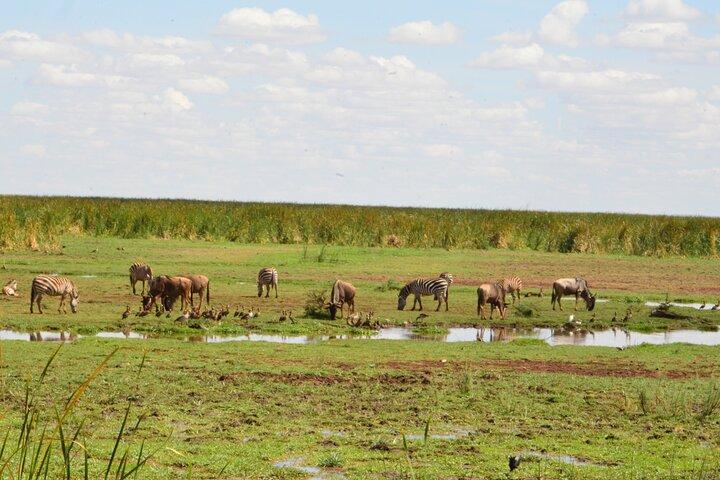 4 Days Group Camping Safari