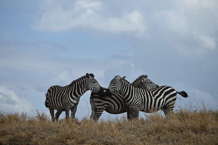 4 Days Group Camping Safari