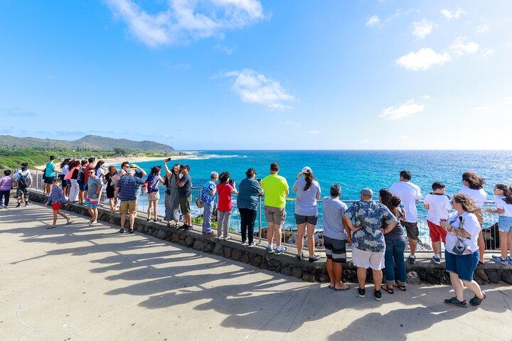 Oahu: North Shore Tour with Waimea Waterfall