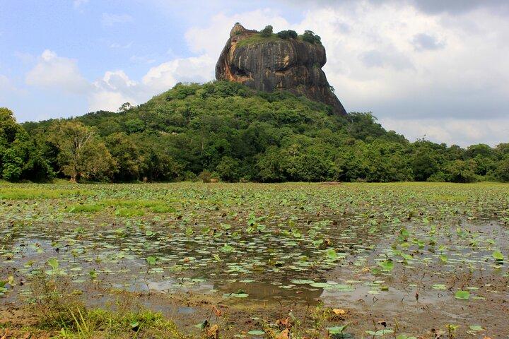 Colombo to Sigiriya Transfer