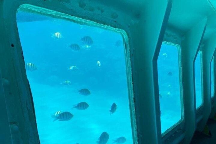 Best of roatan by land and sea