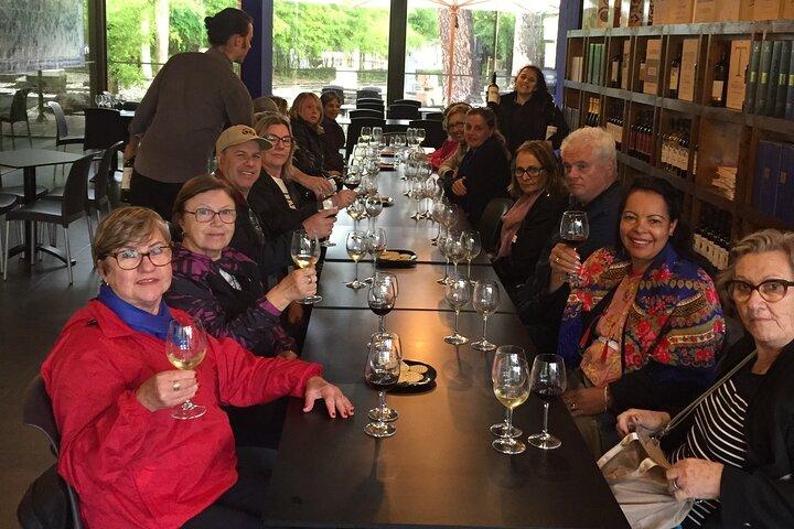 Full-Day Private South Bay Wine Experience from Lisbon