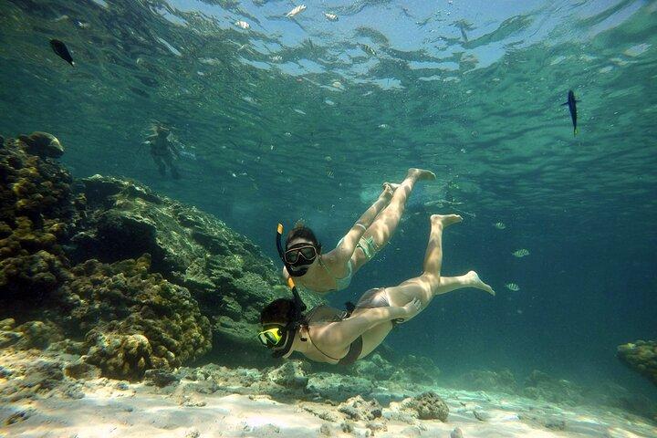Private Speedboat Maiton, Racha, and Coral Islands Tour from Phuket