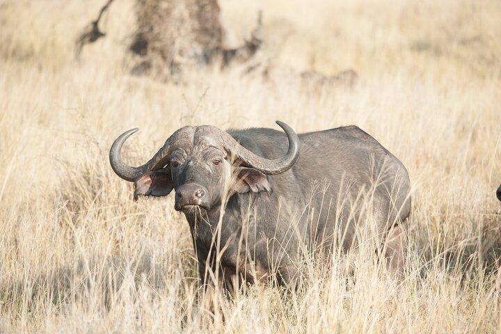5-Day private Camping Safari Tour in Tanzania