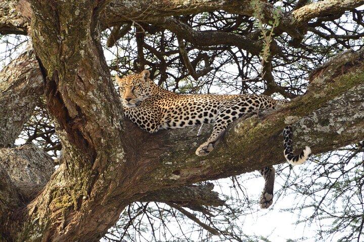 Private 7-Day Tanzania Camping Safari