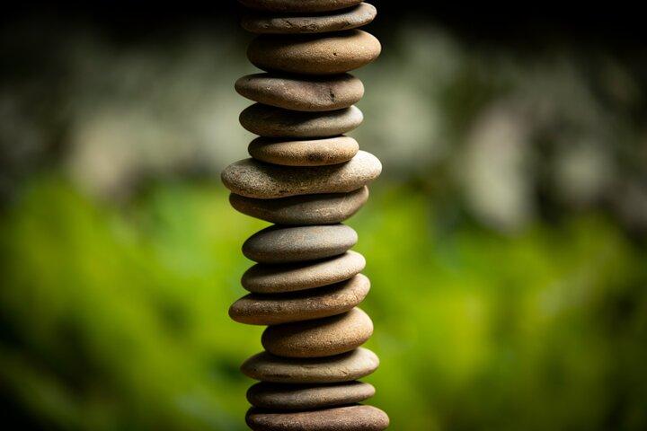 Matakana Art & Vineyard Experience incl. Lunch & Wine Tasting Tour From Auckland