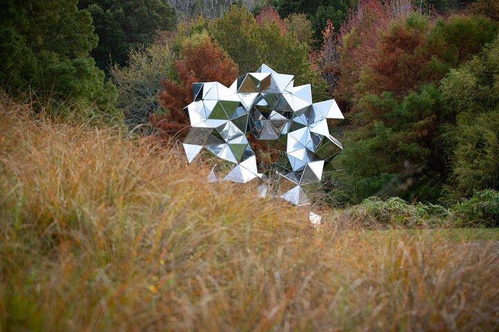 Matakana Art & Vineyard Experience incl. Lunch & Wine Tasting Tour From Auckland