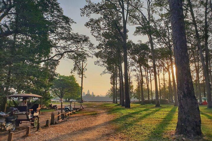Private Temples Guided Tour (Angkor Wat, Ta Prom & Angkor Thom)
