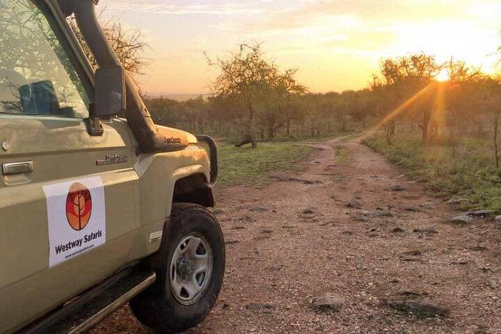4 Days Glamping Tanzania Safari