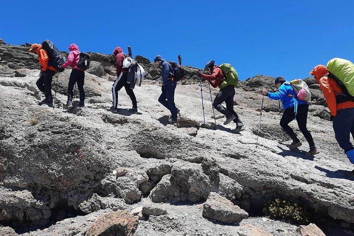 Private 8-Day Kilimanjaro Trek on Lemosho Route from Moshi