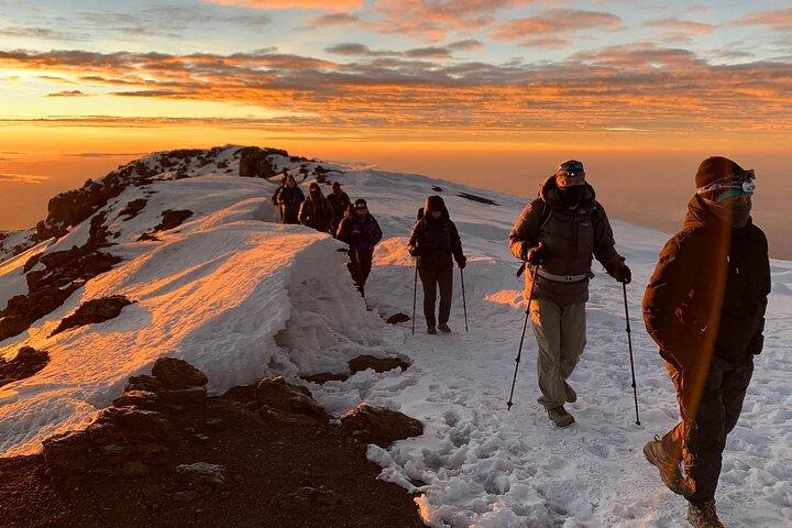 Private 8-Day Kilimanjaro Trek on Lemosho Route from Moshi