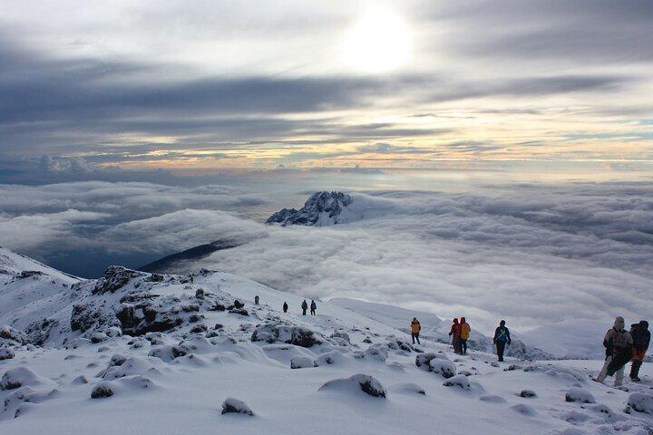 Private 8-Day Kilimanjaro Trek on Lemosho Route from Moshi