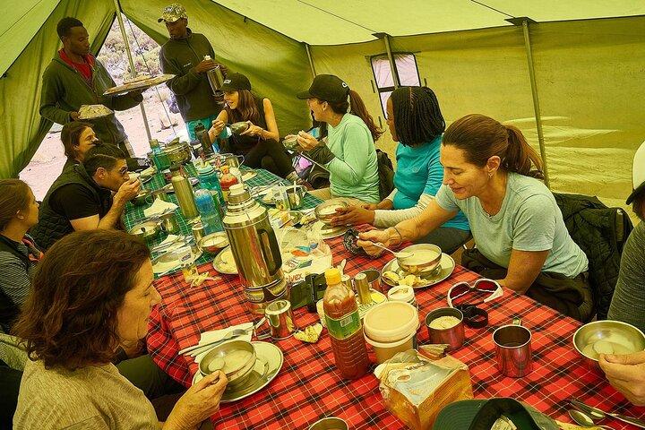 Private 8-Day Kilimanjaro Trek on Lemosho Route from Moshi