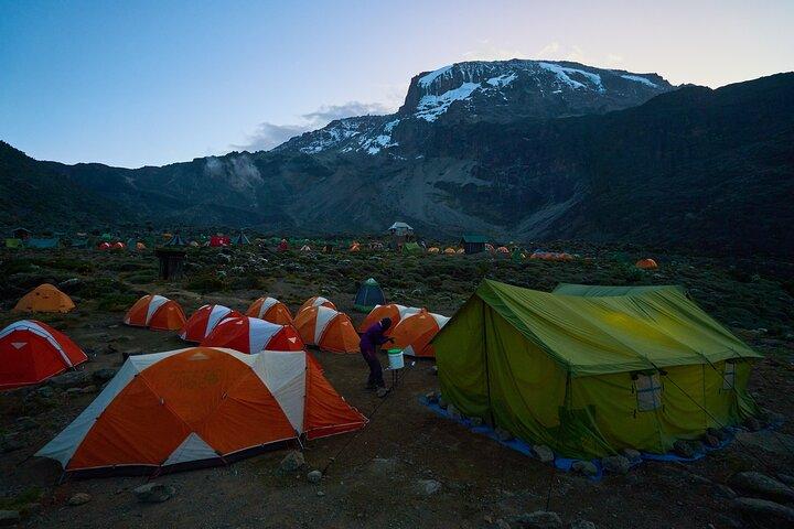 Private 8-Day Kilimanjaro Trek on Lemosho Route from Moshi
