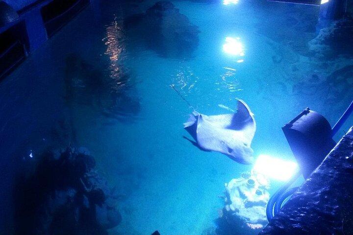 Hurghada Grand Aquarium
