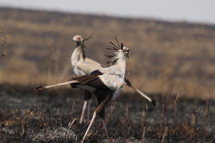 3 Days Tarangire, Ngorongoro & Lake Manyara Group Camping Safari