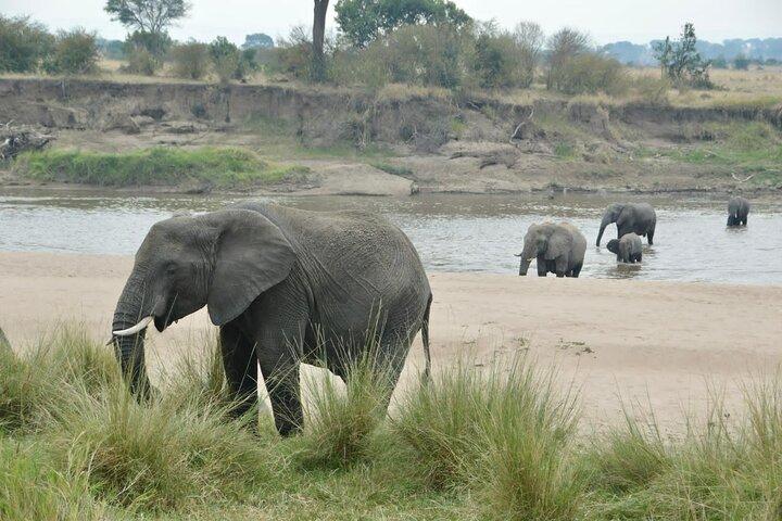 4 Days Private Migration Camping Tour in Serengeti National Park