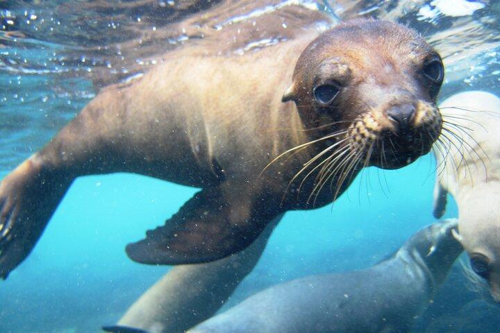 Day Tour to Santa Fe Island and Hidden Beach with snorkeling and fishing