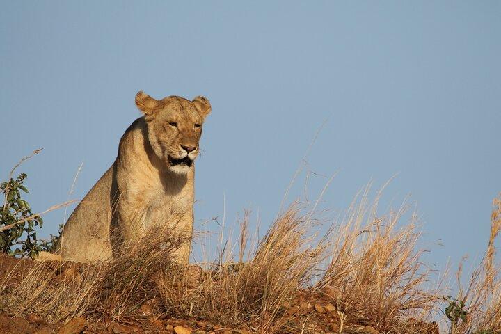 2 Days Tarangire and Ngorongoro Group Camping Safari