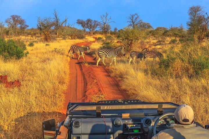 4 Days Private Lodge Safari Tour Tanzania
