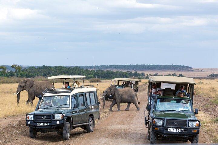 5 Days Private Safari Tour & Maasai village Visit Tanzania