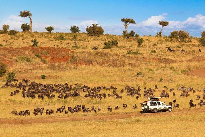 5 Days Private Safari Tour & Maasai village Visit Tanzania