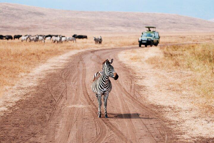 4 Days Private Lodge Safari Tour Tanzania