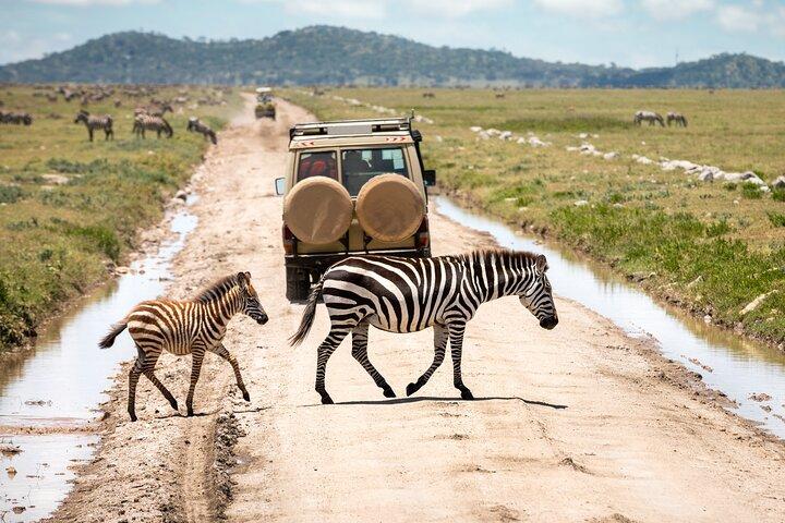 4 days Tanzania Wildlife, Materuni Waterfalls and Chemka Hot-spring &Coffee Tour
