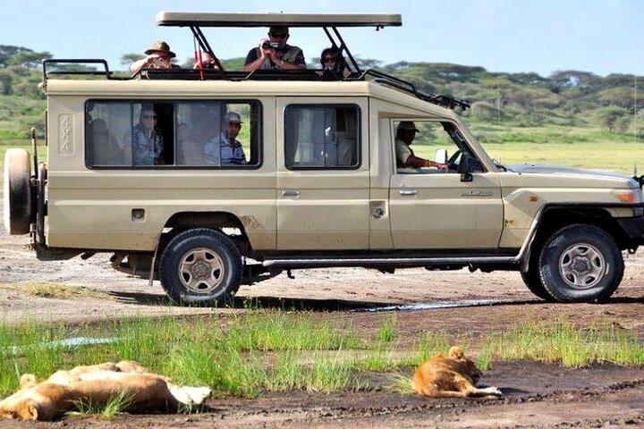 3-Day Safari to Serengeti, Ngorongoro and 1-Day Kilimanjaro Hike