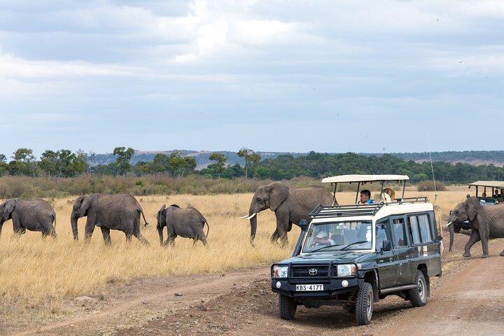 4 days Tanzania Wildlife, Materuni Waterfalls and Chemka Hot-spring &Coffee Tour
