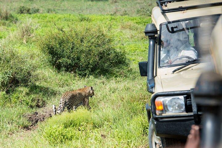 4 Days Private Lodge Safari Tour Tanzania